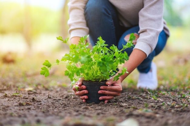 Parrainage autour des jeux de langage en classe et au jardin partagé